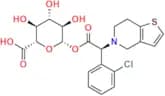 Clopidogrel Acyl-β-D-Glucuronide