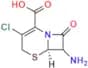 Cefaclor EP Impurity B