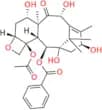 Docetaxel Impurity 12