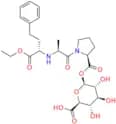 Enalapril Acyl Glucuronide