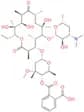 Erythromycin Phthalate Impurity