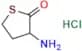 DL-Homocysteinethiolactone