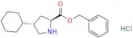 Trans-4-Cyclohexyl-L-Proline Benzylester