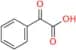 Glycopyrrolate EP Impurity B