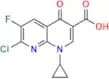 Naphthyridine Carboxylic Acid Analog