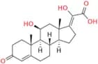 Hydrocortisone Oxo Acetic Acid (Z-Isomer)
