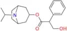 Ipratropium EP Impurity E