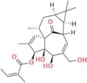 Ingenol 3-Angelate