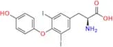 Levothyroxine EP Impurity E