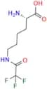 Lisinopril Impurity 13