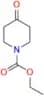 Loratadine EP Impurity H