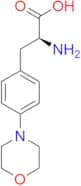 Melphalan EP Impurity B