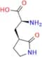 Nirmatrelvir Impurity 9