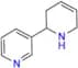 Nicotine USP Related Compound A