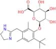 Oxymetazoline O Glucuronide