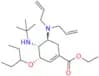 Oseltamivir Impurity 15