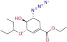 Oseltamivir Impurity 48