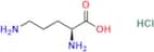 L-Ornithine HCl