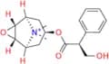 Oxitropium Bromide EP Impurity B