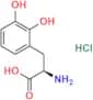 2,3-Dihydroxy-D-Phenylalanine