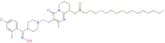 Paliperidone Impurity 35