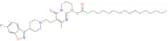 Paliperidone Heptadecanoate