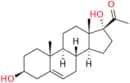 17-Hydroxy Pregnenolone