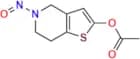 N-Nitroso Acetylthienotetrahydropyridine