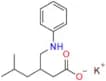Pregabalin Impurity 24