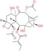 2-Debenzoyl-2-Pentenoate Baccatin-III