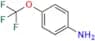 Riluzole USP Related Compound A