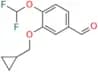 Roflumilast Impurity 20