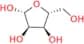 β-D-Ribofuranose