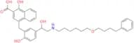 Salmeterol USP Related Compound H