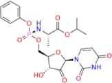 2\'-Keto Sofosbuvir