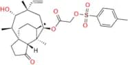 Tiamulin EP Impurity L