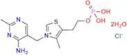 Thiamine Monophosphate Chloride Dihydrate