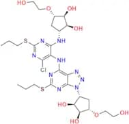 Ticagrelor Pyrimidine Dimer