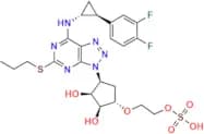 Ticagrelor Impurity 5