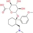 Tramadol-O-Glucuronide