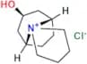 Trospium Chloride USP Related Compound C