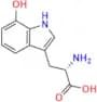 7-Hydroxy-L-Tryptophan