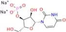 Uridine 3’-Monophosphate Disodium Salt