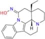 Vinpocetine Oxime