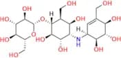 Validamycin B