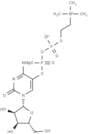 Citicoline