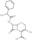 Cephradine