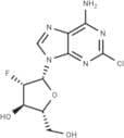 Clofarabine