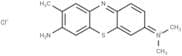 Toluidine Blue