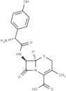 Cefadroxil